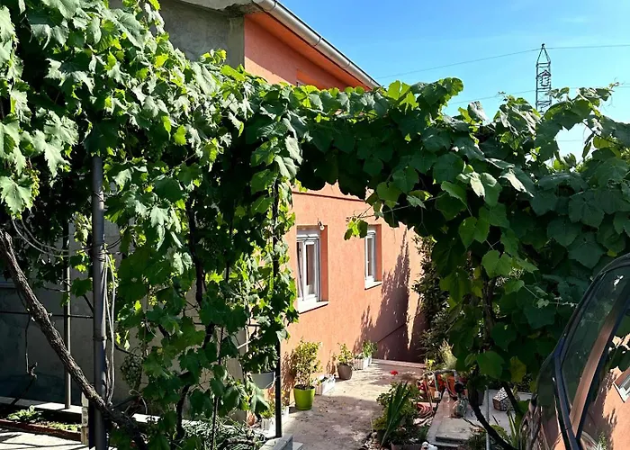 Ninic Family Apartments